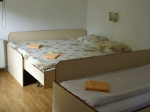 Pensiunea Marin - alloggio in  Dintorni di Sibiu (12)
