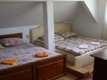 Pensiunea Marin - accommodation in  Sibiu Surroundings (17)