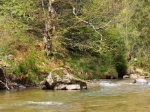 Cabana Hunteri in Romania - cazare Fagaras, Tara Muscelului (08)