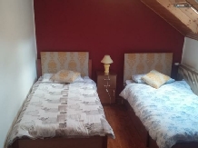 Vila Kristin 3 - accommodation in  Brasov Depression (10)