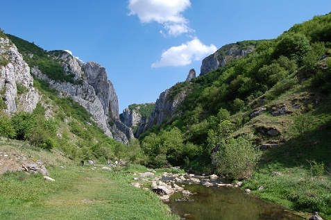 Pensiunea Laura - alloggio in  Apuseni (Attivit&agrave; e i dintorni)