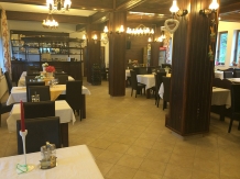 Haus am Berg - alloggio in  Apuseni, Tara Motilor, Arieseni (10)