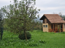 Vila Elise - alloggio in  Muntenia (02)