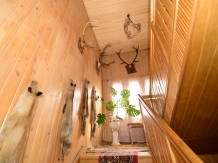 Vila Crinul - accommodation in  Vatra Dornei, Bucovina (13)