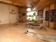 Vila Crinul - accommodation in  Vatra Dornei, Bucovina (14)