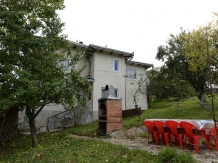 Vila Crinul - accommodation in  Vatra Dornei, Bucovina (22)