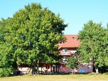 Pensiunea Marina - accommodation in  Rucar - Bran, Moeciu, Bran (04)