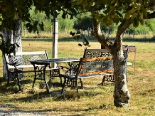 Pensiunea Marina - accommodation in  Rucar - Bran, Moeciu, Bran (12)