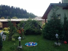 Pensiunea Alex - accommodation in  Maramures (02)