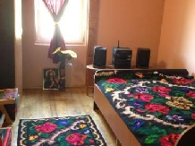 Pensiunea Alex - accommodation in  Maramures (03)