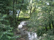Complex Caprioara - alloggio in  Tara Maramuresului (13)
