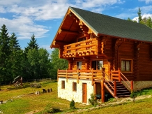 Mirajul Apusenilor - accommodation in  Apuseni Mountains, Belis (12)