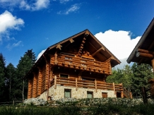 Mirajul Apusenilor - accommodation in  Apuseni Mountains, Belis (16)