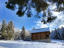Mirajul Apusenilor - accommodation in  Apuseni Mountains, Belis (44)
