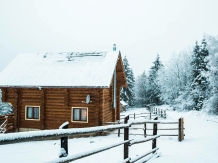 Mirajul Apusenilor - accommodation in  Apuseni Mountains, Belis (46)