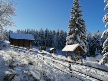 Mirajul Apusenilor - accommodation in  Apuseni Mountains, Belis (57)