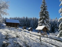 Mirajul Apusenilor - alloggio in  Apuseni, Belis (57)