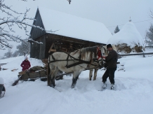 Casa Arnica Montana - alloggio in  Apuseni, Tara Motilor, Arieseni (42)