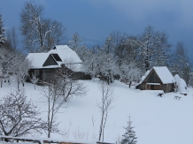 Casa Arnica Montana - cazare Apuseni, Tara Motilor, Arieseni (43)