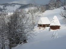 Casa Arnica Montana - alloggio in  Apuseni, Tara Motilor, Arieseni (44)