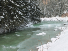 Casa Arnica Montana - alloggio in  Apuseni, Tara Motilor, Arieseni (45)