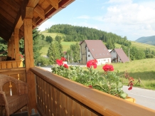 Casa Arnica Montana - accommodation in  Apuseni Mountains, Motilor Country, Arieseni (47)