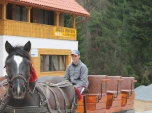 Casa Arnica Montana - alloggio in  Apuseni, Tara Motilor, Arieseni (56)