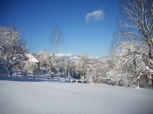 Casa Elsa - cazare Arieseni (33)