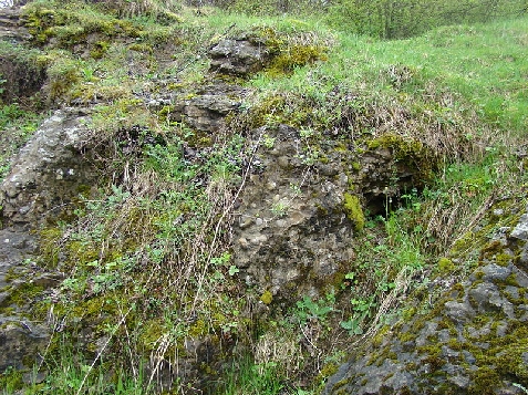 Casa Elsa - cazare Arieseni (Activitati si imprejurimi) Casa Elsa - cazare Arieseni (Activitati si imprejurimi)