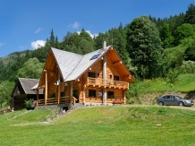 Rural accommodation at  Pensiunea Larix