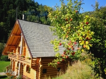 Pensiunea Larix - accommodation in  Apuseni Mountains, Belis (03)