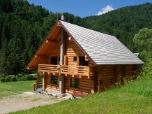 Pensiunea Larix - accommodation in  Apuseni Mountains, Belis (04)