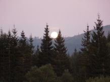 Pensiunea Larix - cazare Apuseni, Belis (23)