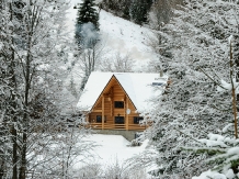 Pensiunea Larix - accommodation in  Apuseni Mountains, Belis (34)