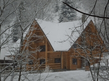 Pensiunea Larix - accommodation in  Apuseni Mountains, Belis (38)