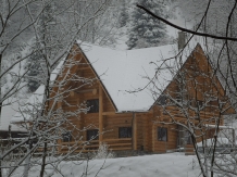 Pensiunea Larix - accommodation in  Apuseni Mountains, Belis (39)