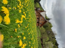 Pensiunea Larix - alloggio in  Apuseni, Belis (56)