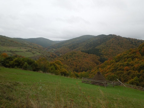 Pensiunea Larix - accommodation in  Apuseni Mountains, Belis (Surrounding)