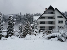 Rural accommodation at  Pensiunea Almas