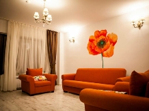 Pensiunea Almas - accommodation in  Moldova (26)