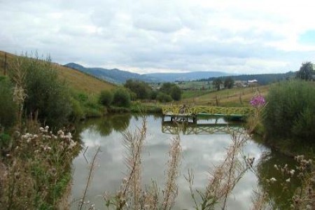 Casa Floreni - accommodation in  Vatra Dornei, Bucovina (Surrounding)