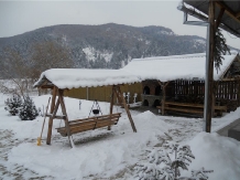 Cabana Luciana - accommodation in  Apuseni Mountains (08)