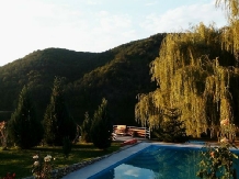 Cabana Luciana - accommodation in  Apuseni Mountains (19)