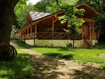 Cabana Izvoranu - accommodation in  Muntenia (03)