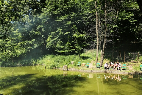 Cabana Izvoranu - accommodation in Muntenia (Surrounding) Cabana Izvoranu - accommodation in Muntenia (Surrounding)