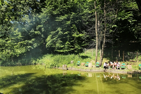 Cabana Izvoranu - alloggio in  Muntenia (Attivit&agrave; e i dintorni)