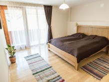 Casa Danes - accommodation in  Oltenia (02)