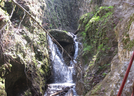 Pensiunea Satulung Sacele - accommodation in  Brasov Depression (Surrounding)