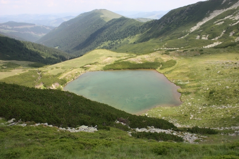 Pensiunea Perla Padurii - accommodation in  Bistrita (Surrounding)