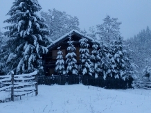 Cabana Toplita - alloggio in  Transilvania (37)